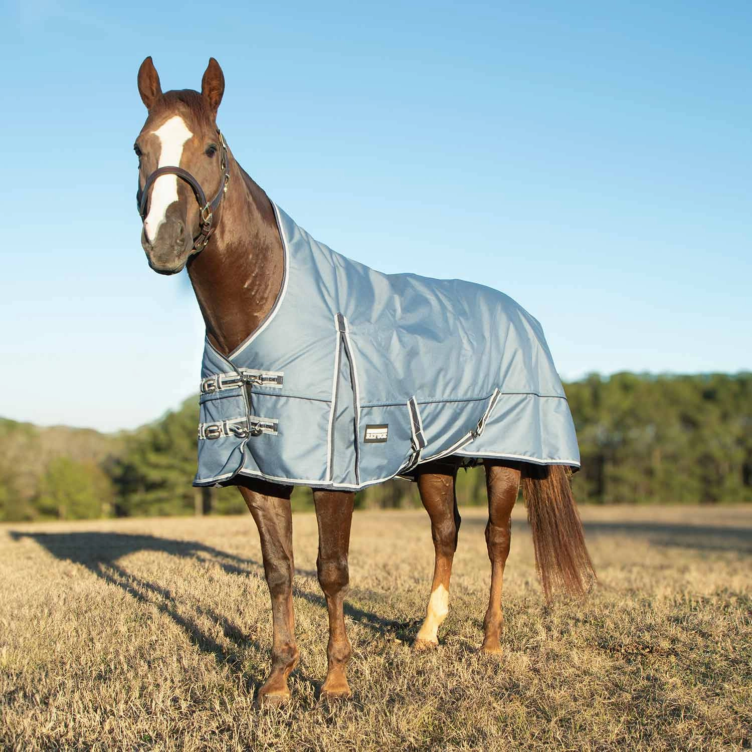 Jeffers Poplar Head Refuge 1200 Denier Turnout Blanket with High Neck, 240 Gram, Hamilton Blue horse blanket,poultry bed sheet,equine sheets