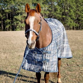 Jeffers Poplar Head Refuge 1200 Denier Turnout Sheet, 0 Gram, Hamilton Blue & Slate Plaid horse blanket,poultry bed sheet,equine sheets