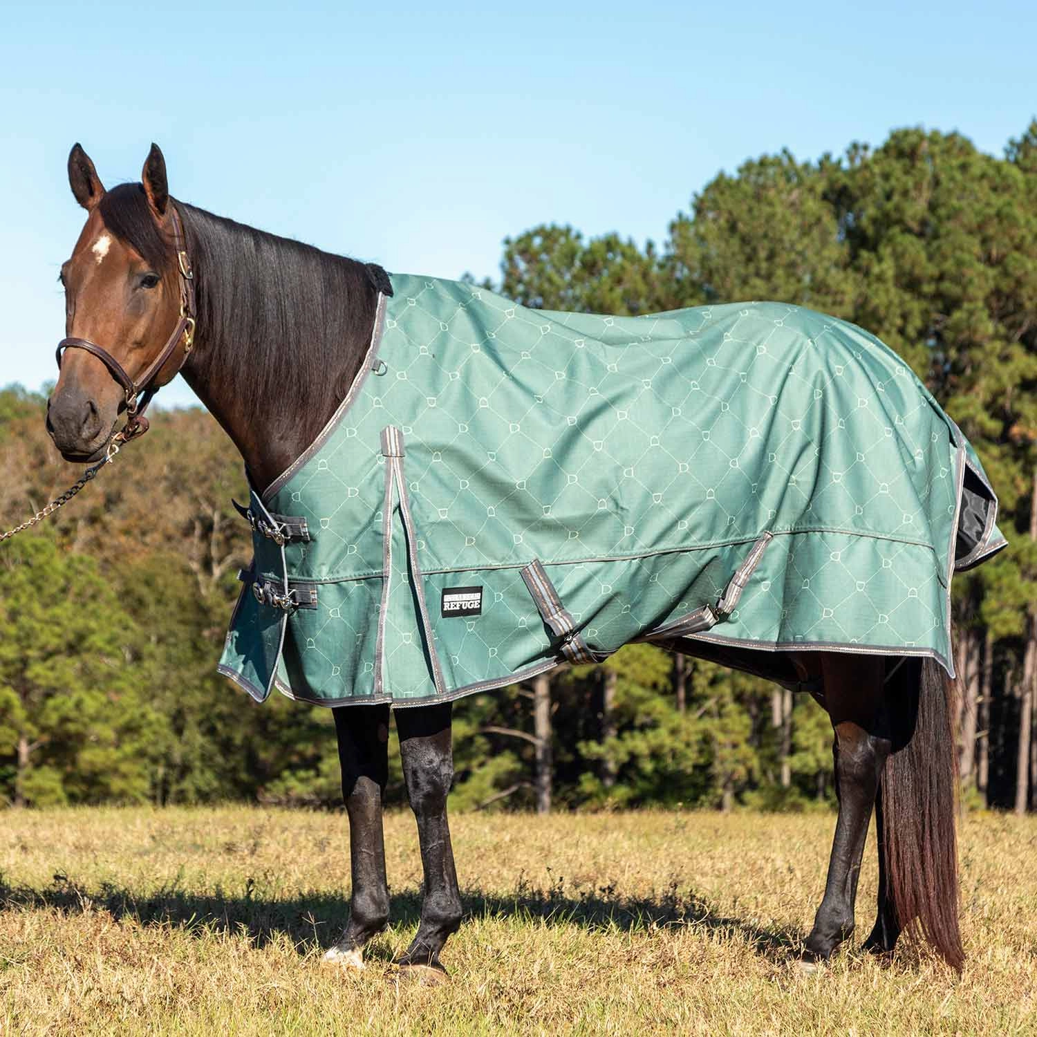 Jeffers Poplar Head Uniquely English 1200 Denier Turnout Blanket, 240 Gram, Spruce Stirrup Irons horse blanket,poultry bed sheet,equine sheets