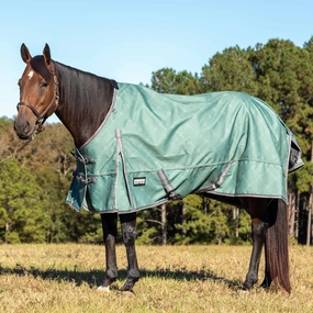 Jeffers Poplar Head Uniquely English 1200 Denier Turnout Blanket, 240 Gram, Spruce Stirrup Irons horse blanket,poultry bed sheet,equine sheets