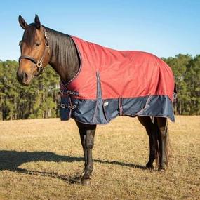 Jeffers Poplar Head Uniquely English 1200 Denier Turnout Blanket with High Neck, 240 Gram, Merlot Snaffles & Irons horse blanket,poultry bed sheet,equine sheets