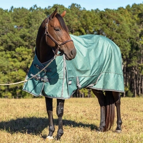 Jeffers Poplar Head Uniquely English 1200 Denier Turnout Sheet, 0 Gram, Spruce Stirrup Irons horse blanket,poultry bed sheet,equine sheets