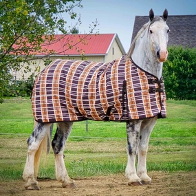 Jeffers Solaris 1200 Denier Draft Horse Turnout Sheet, 0g Fill, Brown & Cream Plaid horse blanket,poultry bed sheet,equine sheets