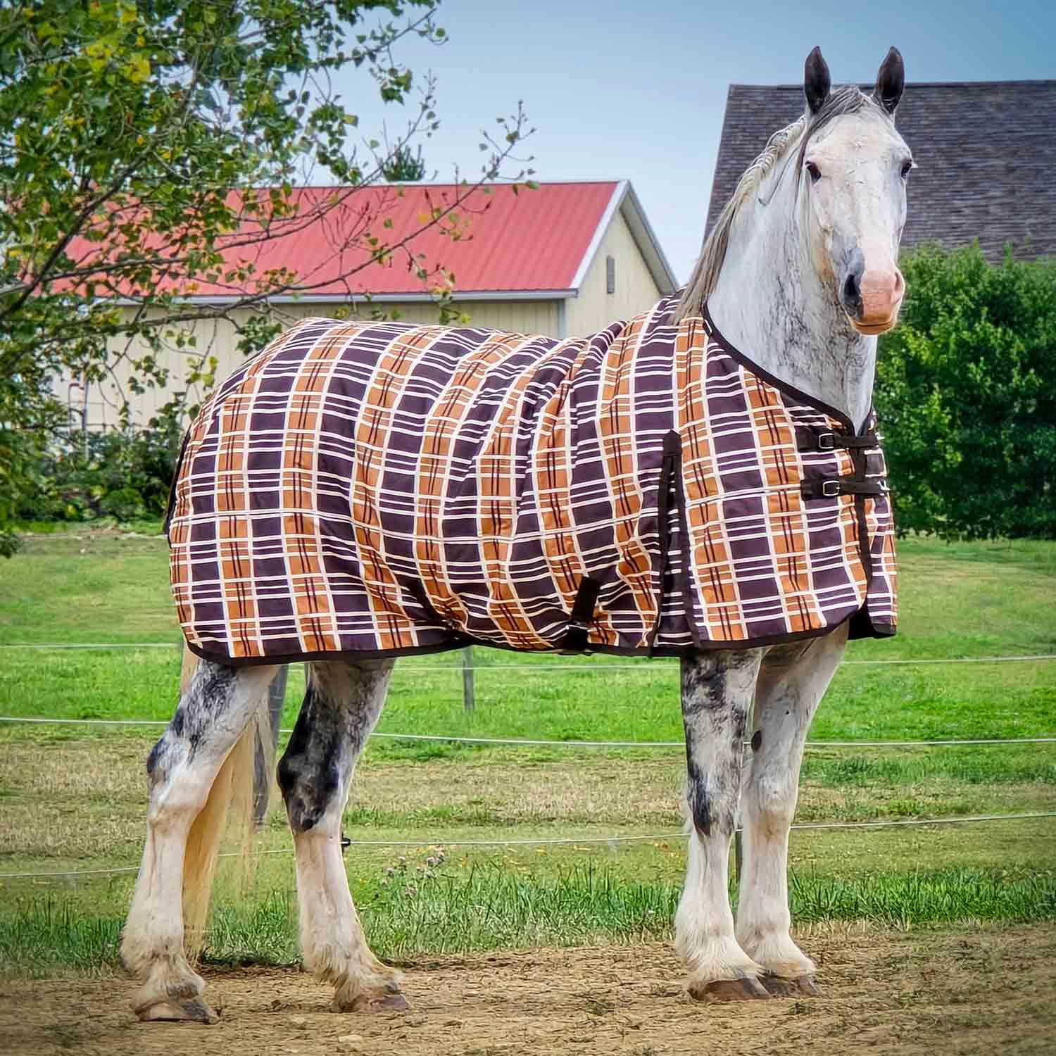 Jeffers Solaris 1200 Denier Draft Horse Turnout Sheet, 0g Fill, Brown & Cream Plaid horse blanket,poultry bed sheet,equine sheets