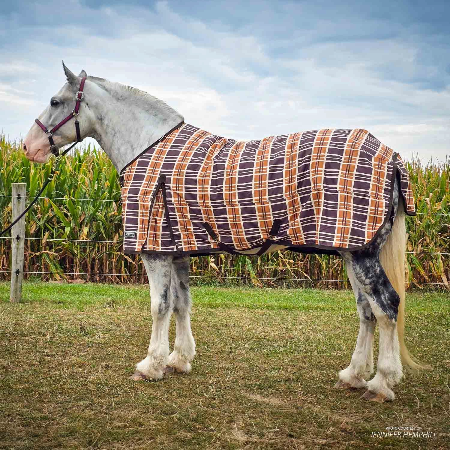 Jeffers Solaris 1200 Denier Draft Horse Turnout Sheet, 0g Fill, Brown & Cream Plaid