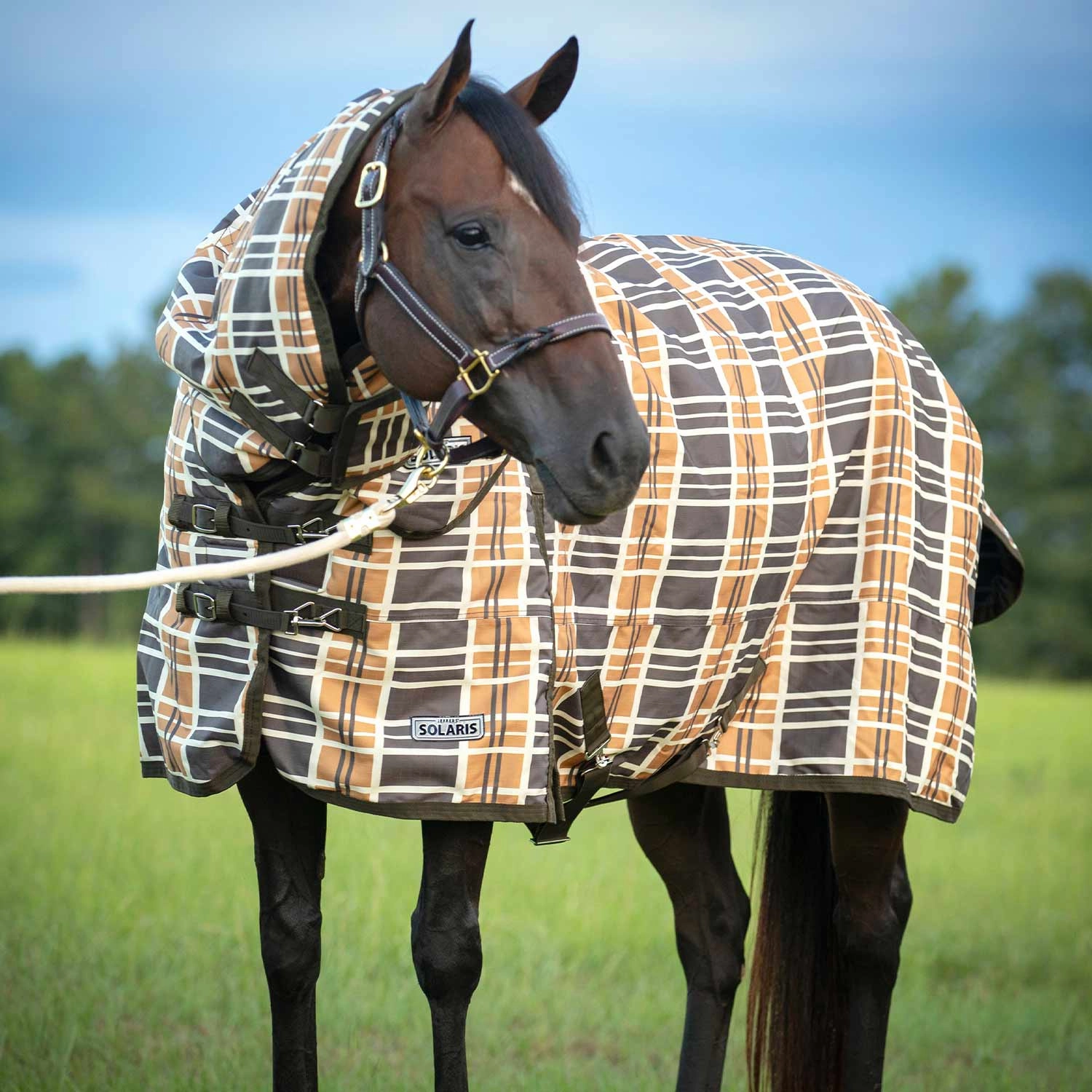 Jeffers Solaris Horse Turnout Blanket with Neck Rug, 1200D, Medium Weight 240g Fill, Brown & Cream Plaid horse blanket,poultry bed sheet,equine sheets