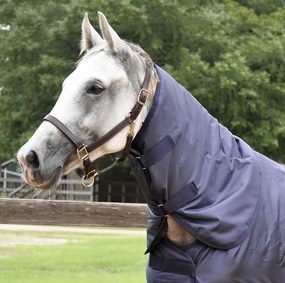 Jeffers Waterproof Neck Rug for Horses, 1680 Denier horse blanket,poultry bed sheet,equine sheets