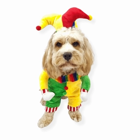 Jester Dog Costume english tack set,horse saddle gear,equestrian supplies