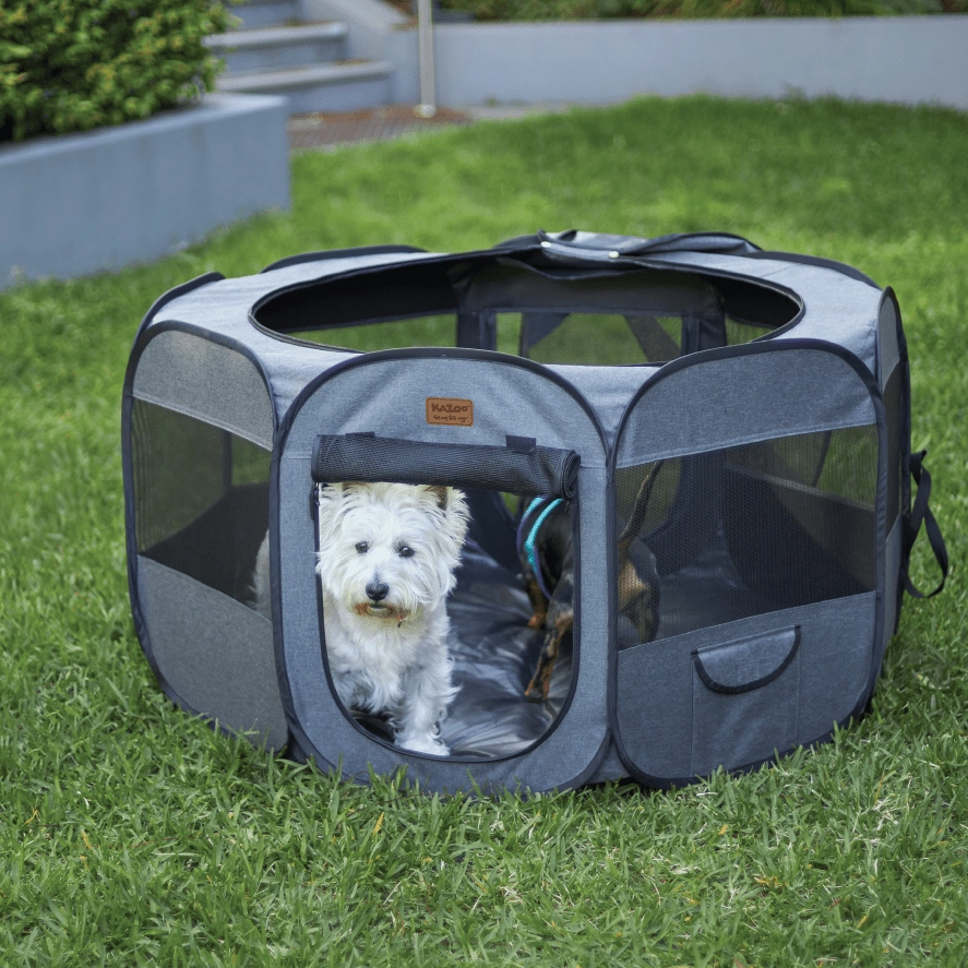 Kazoo Premium Pop Up Pet Playpen