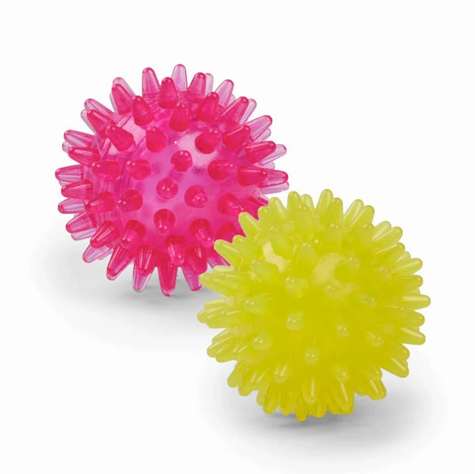 Kazoo Space Ball Dog Toy