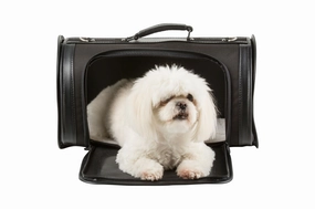 Kelle Carrier - Chocolate Brown dog travel crate,airline approved dog carrier,dog transport bag