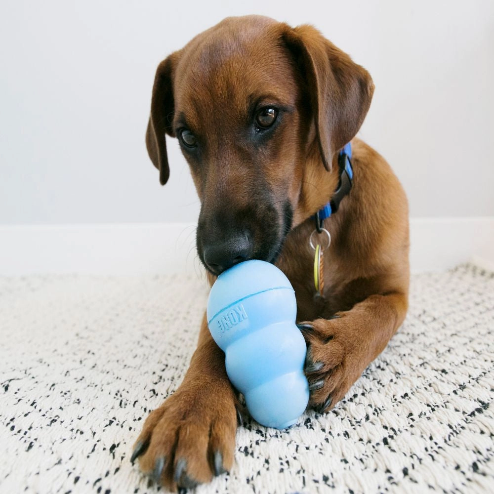 KONG - Puppy (Large)