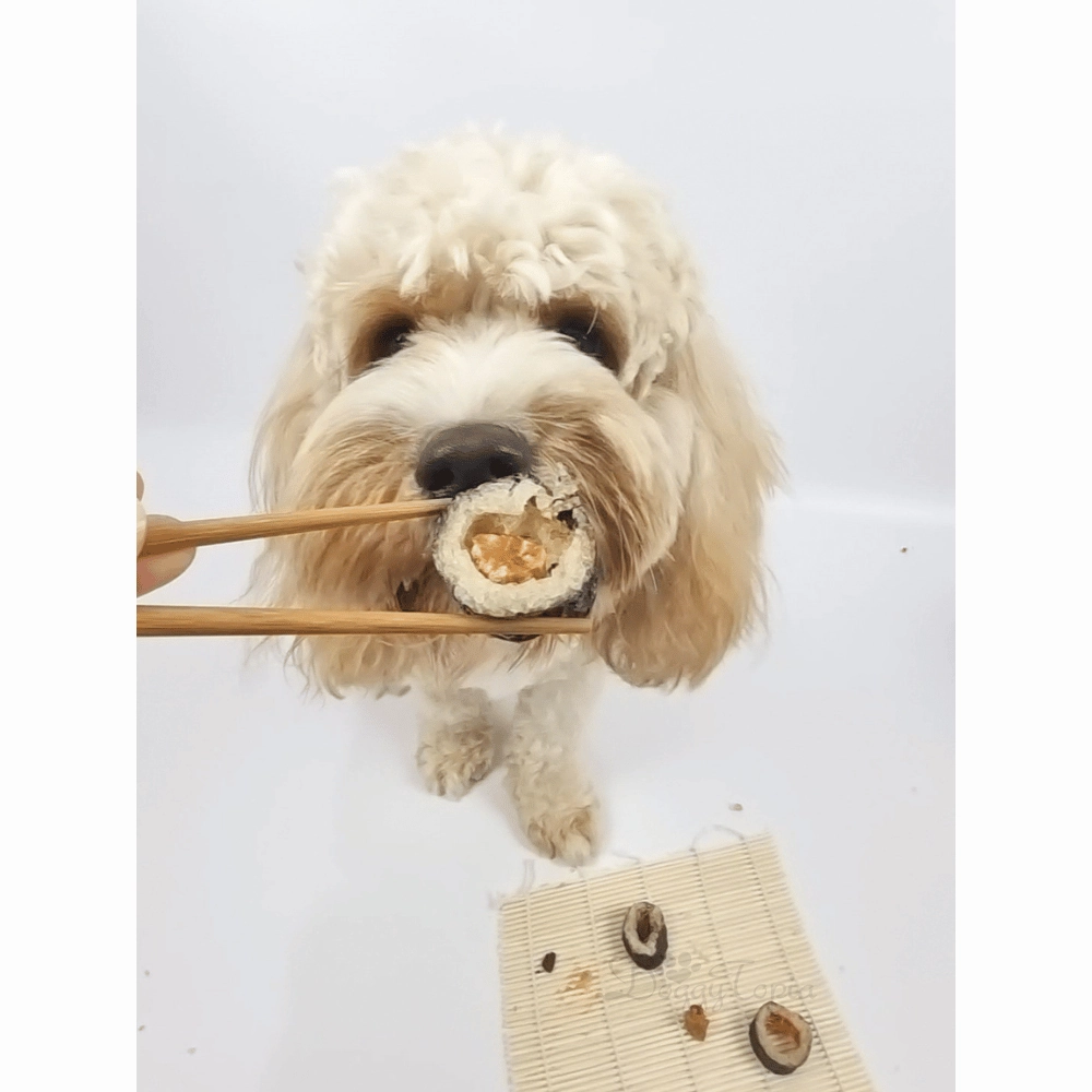 L'Barkery Pawshi Pack - Beef