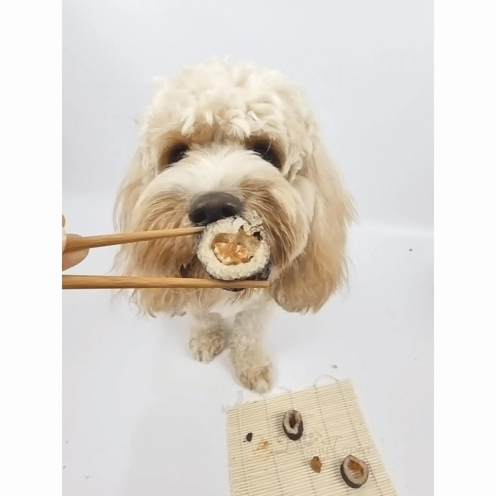 L'Barkery Pawshi Pack - Chicken