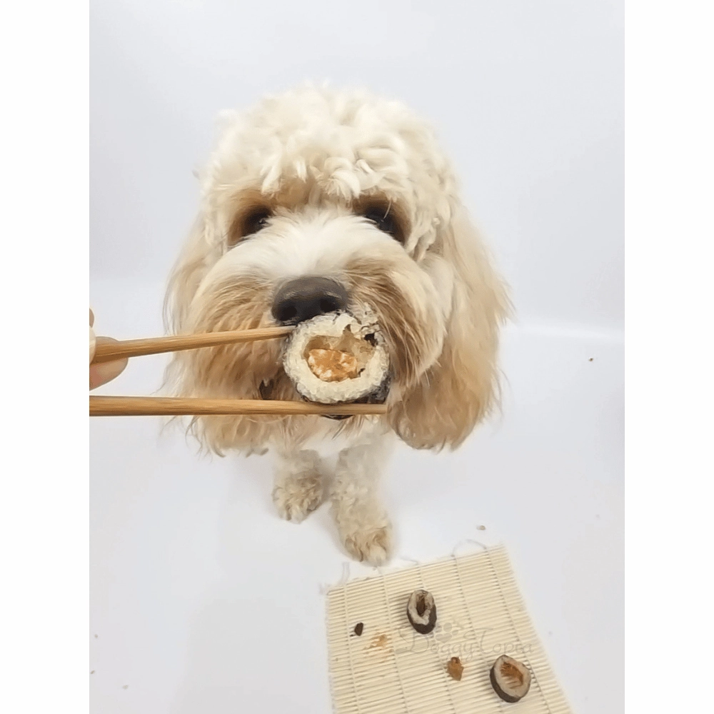 L'Barkery Pawshi Pack - Mixed