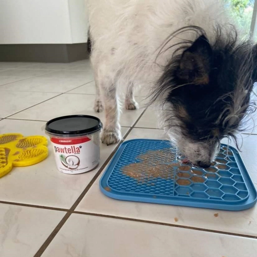 L'Barkery Pawtella