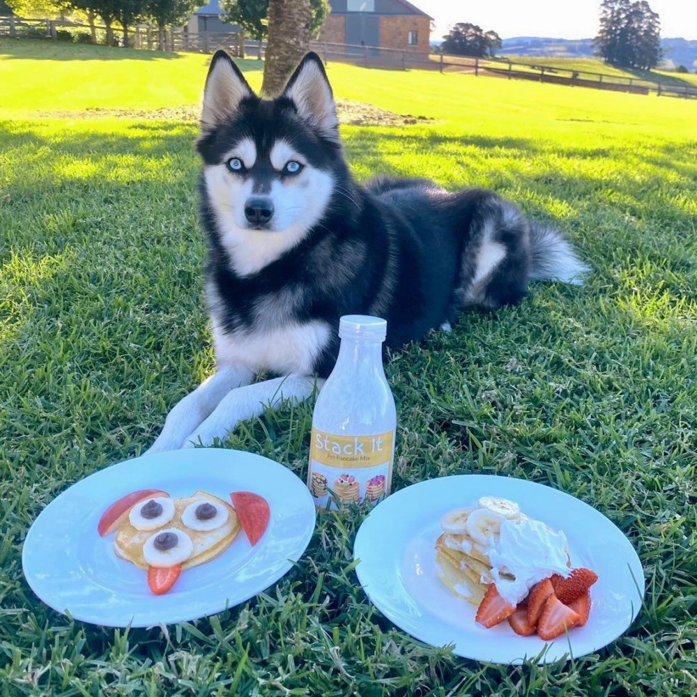 L'Barkery Stack It Pancake Mix