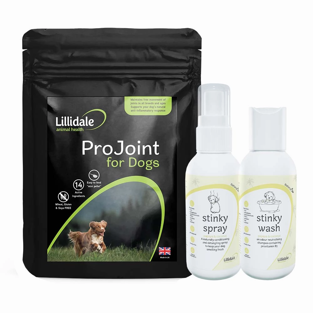Lillidale Active Kit Dog Trial Box small pet habitat,pet cage accessories,small animal home