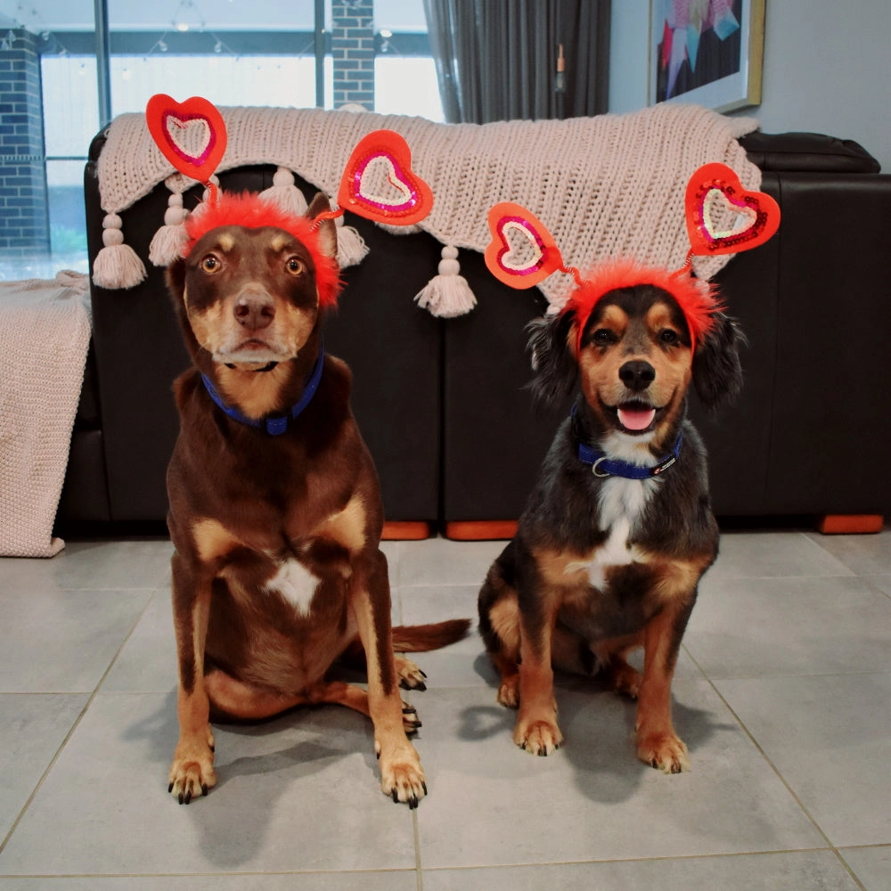 Love Heart Dog Headpiece