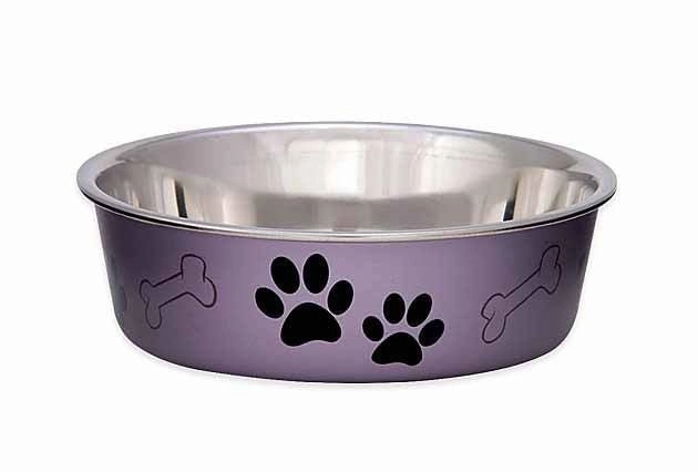 Loving Pets Bella Dog Bowls, Stainless Steel