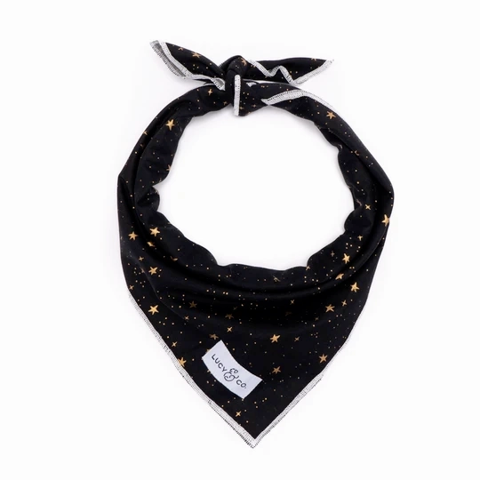 Lucy&Co Dog Bandana: The Aquarius performance harness,agility dog vest,athletic dog gear