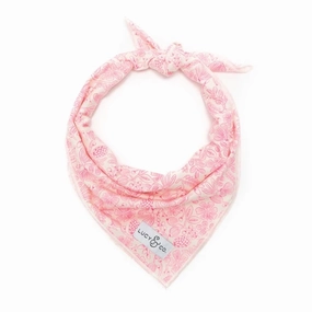 Lucy&Co Dog Bandana: The Chiffon performance harness,agility dog vest,athletic dog gear