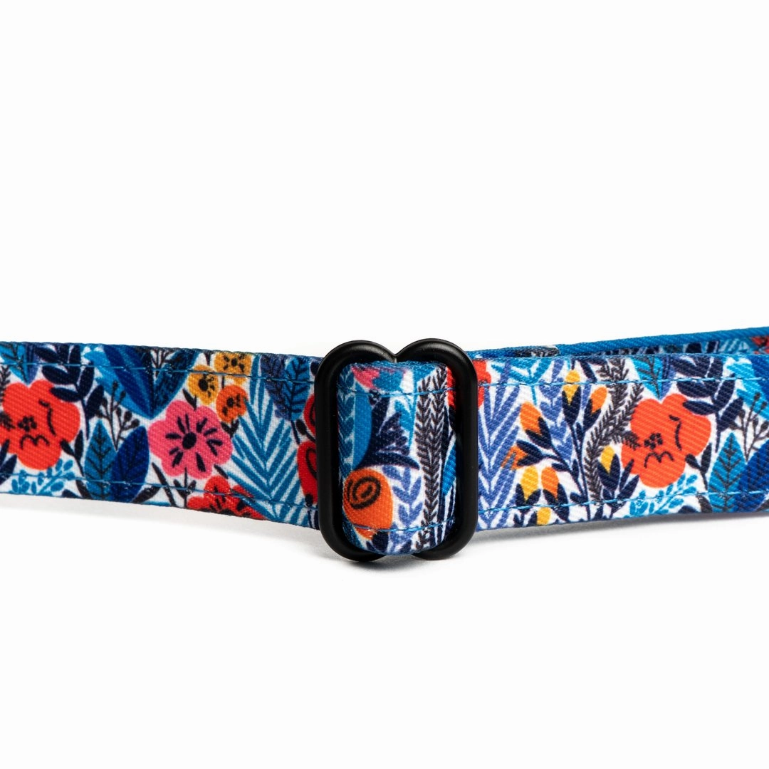 Lucy&Co Dog Collar: The Royal Garden