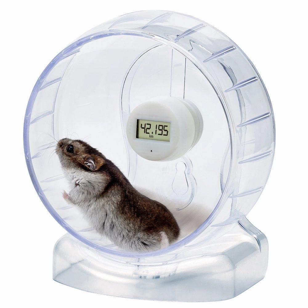 Marukan Clean & Clear Hamster Wheel With Running Meter (15cm)
