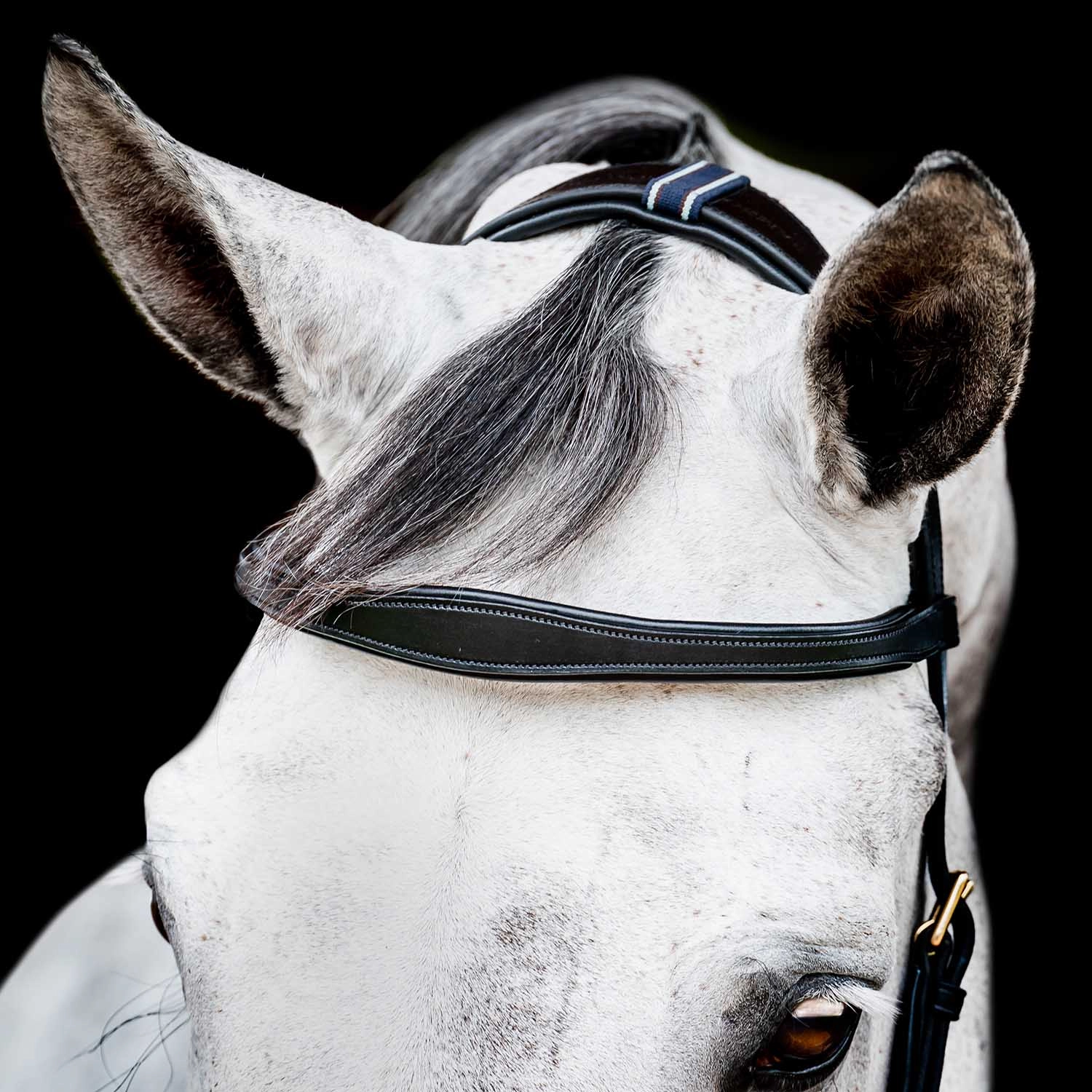 Micklem 2.0 Multi Bridle, Black