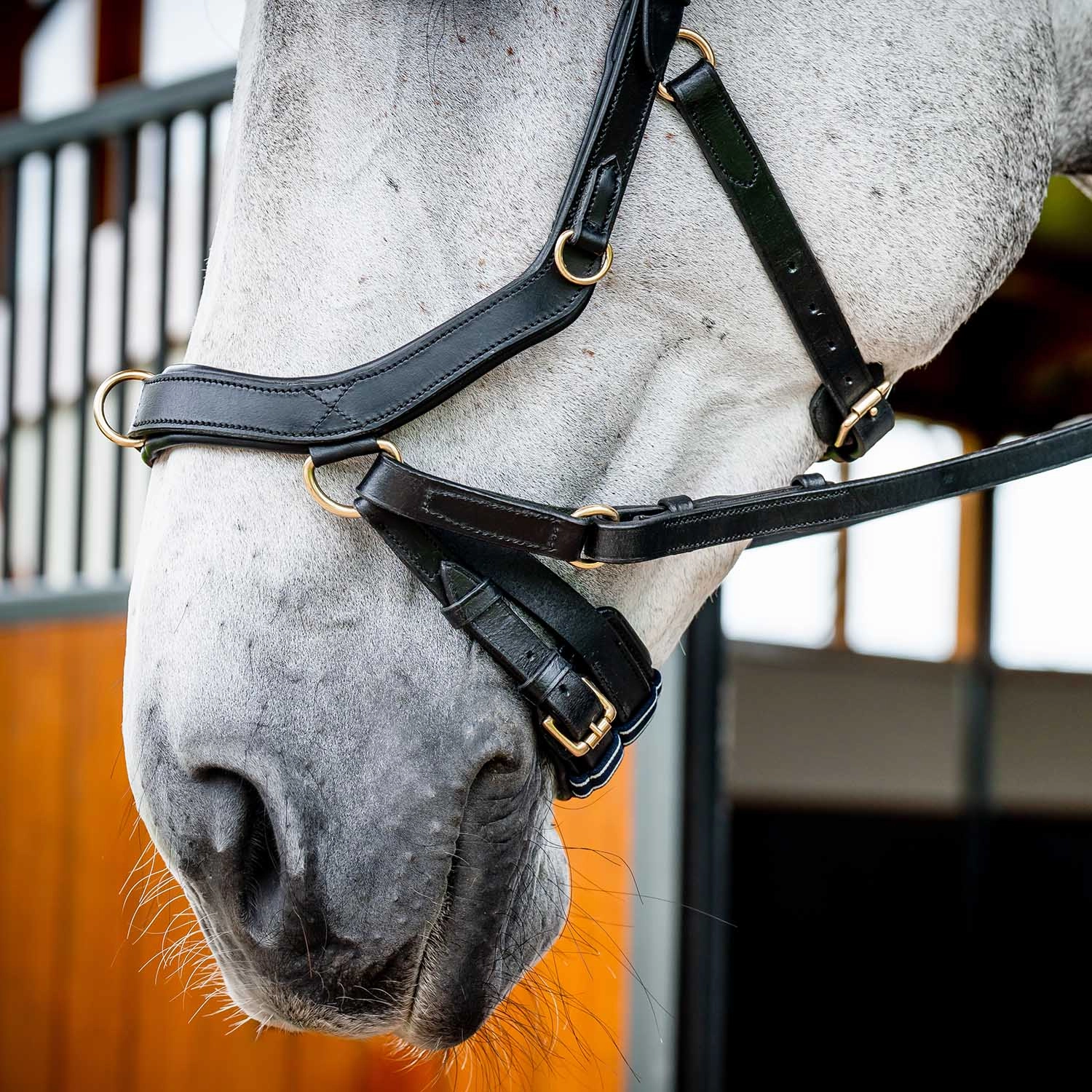 Micklem 2.0 Multi Bridle, Black