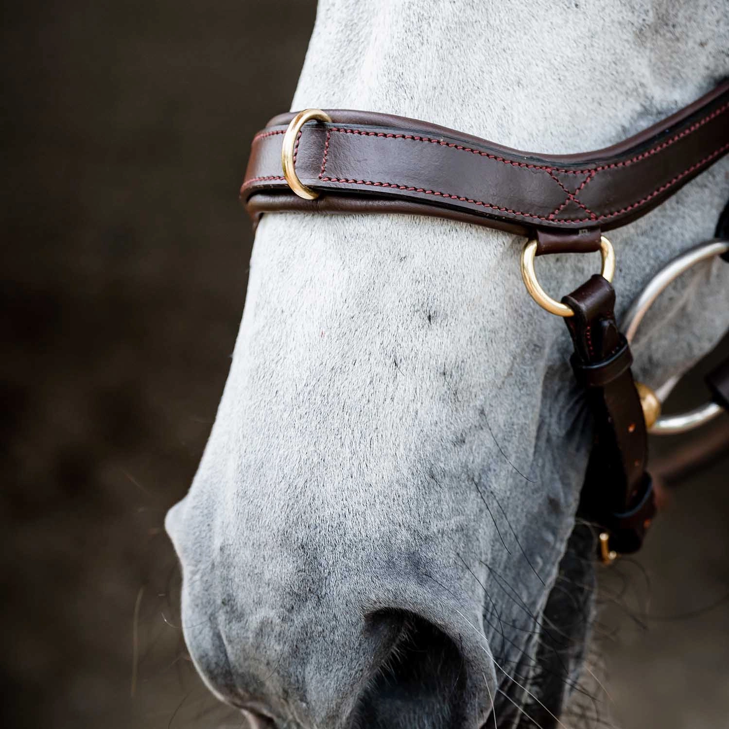 Micklem 2.0 Multi Bridle, Havana