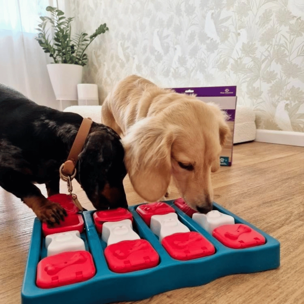 Nina Ottosson - Dog Brick