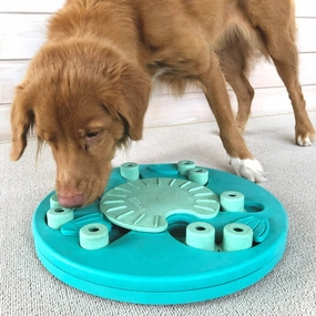 Nina Ottosson - Dog Worker Composite Green dog bowl,slow feeder,pet food dish