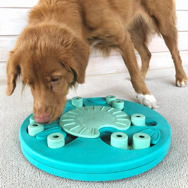 Nina Ottosson - Dog Worker Composite Green dog bowl,slow feeder,pet food dish