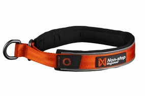 Non-Stop Dog Wear: Cruise Semi-Slip Dog Collar puppy harness,puppy toys,puppy starter kit