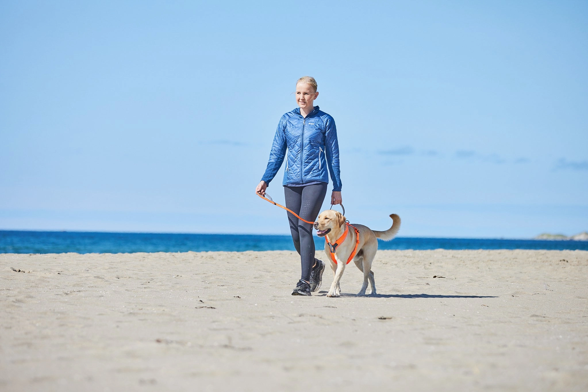 Non-Stop Dog Wear: Move Leash