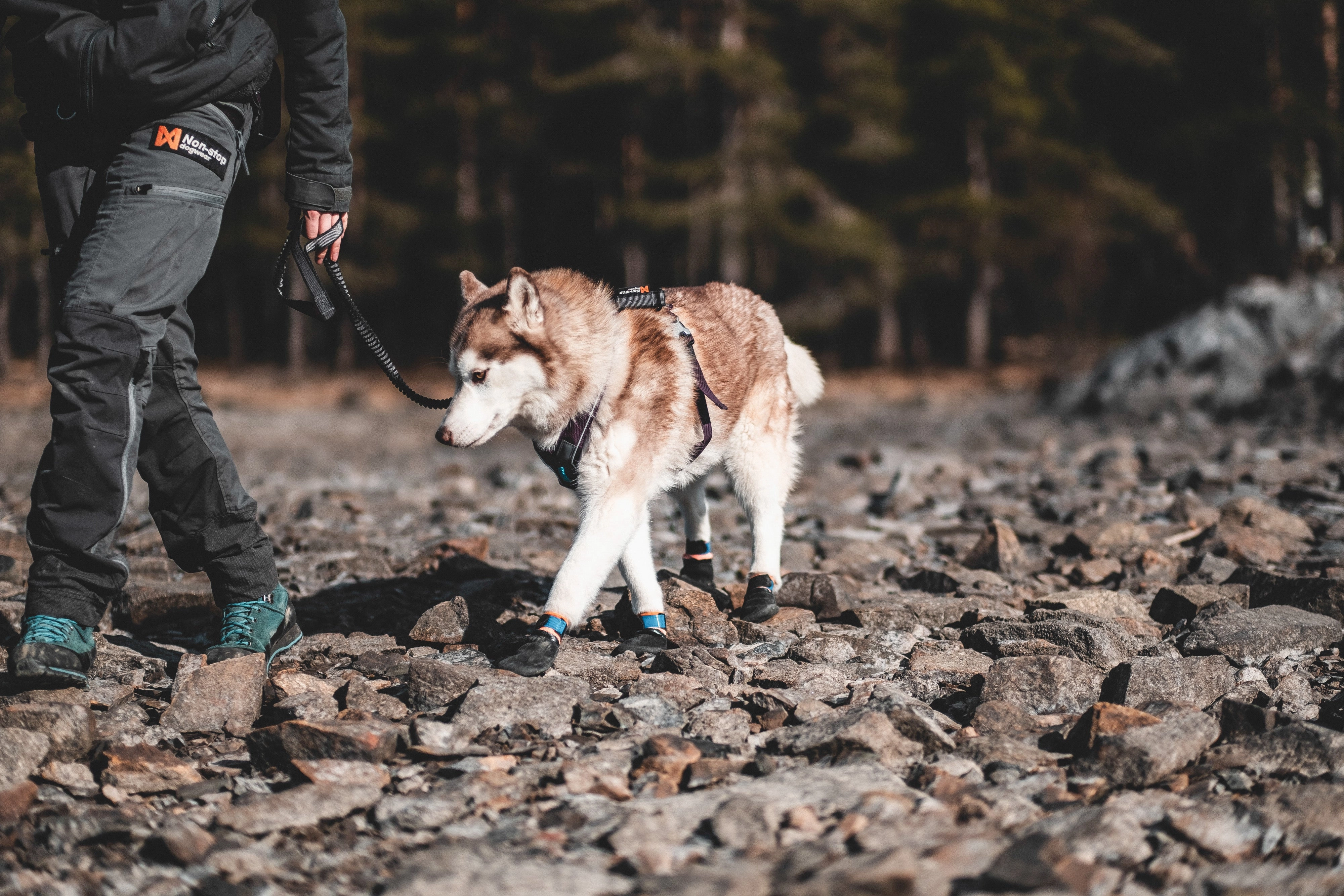 Non-Stop Dog Wear, Protector Booties