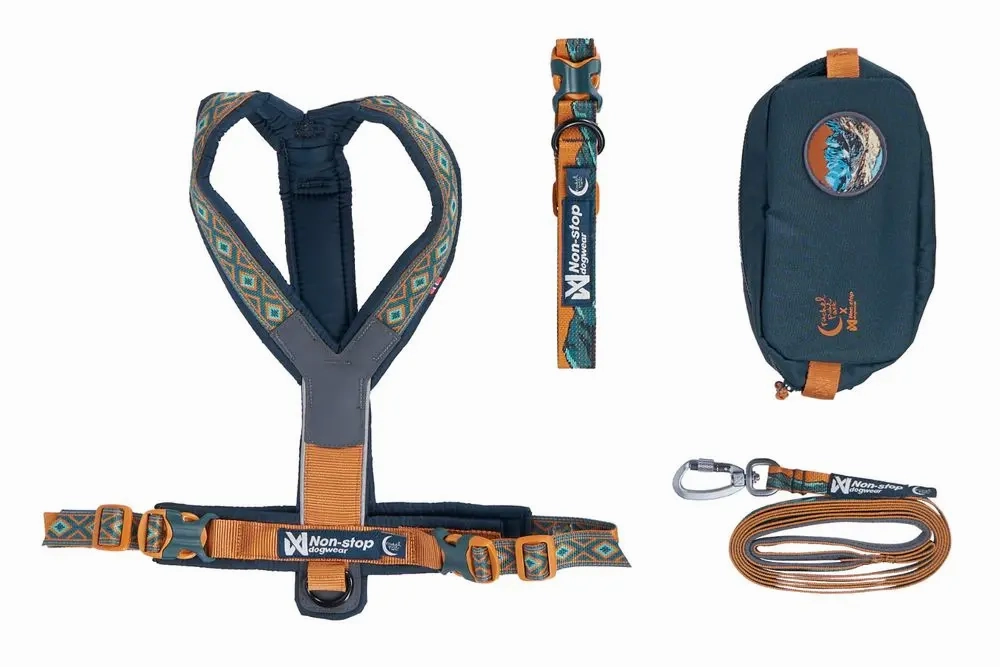 Non-Stop Dog Wear: Rachel Pohl Signature Series Trail Quest Dog Collar Teal/Oak