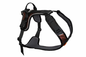 Non-Stop Dog Wear: Rock Harness puppy harness,puppy toys,puppy starter kit