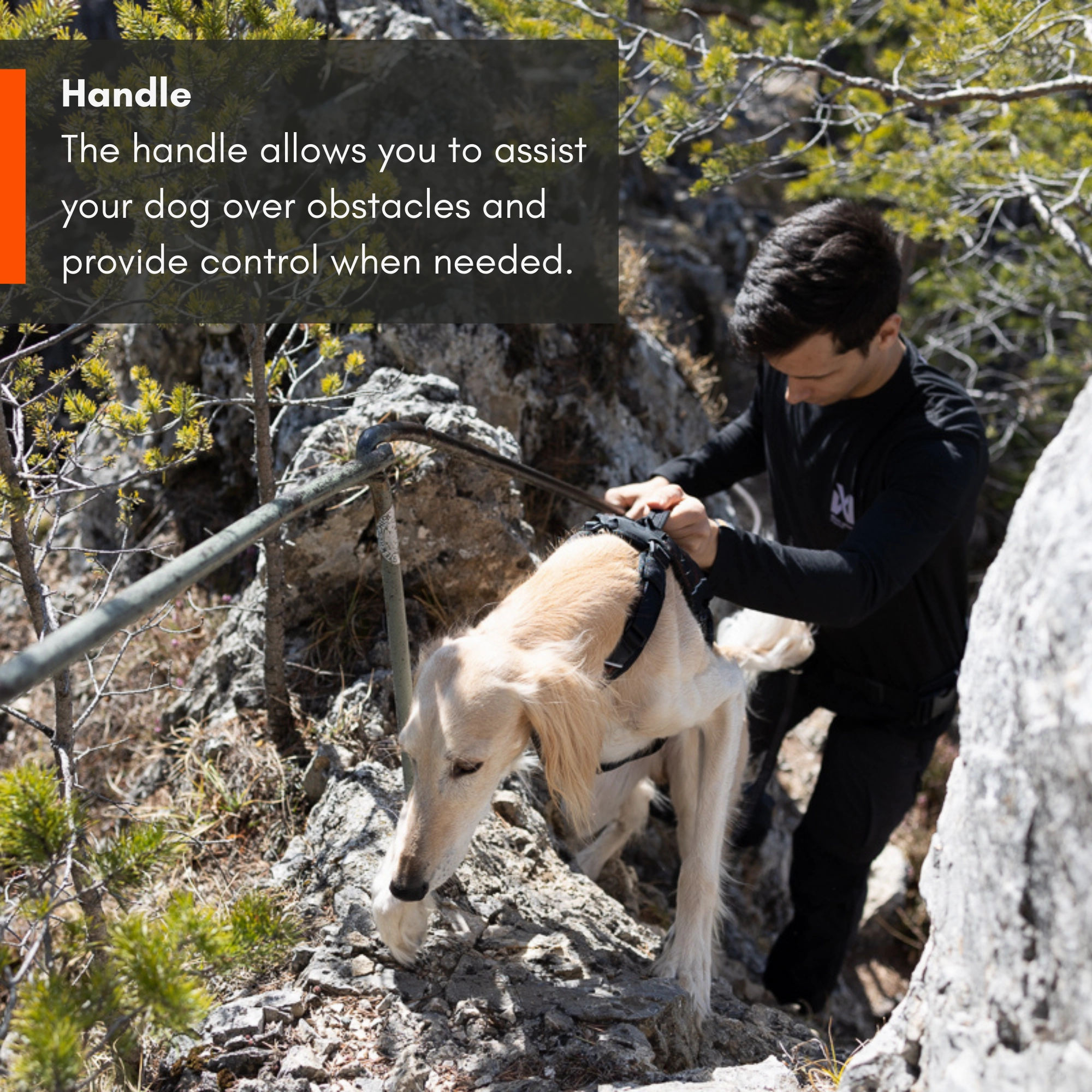 Non-Stop Dog Wear: Rock Harness Long