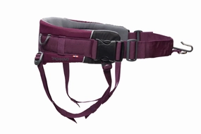 Non-Stop Dog Wear: Trekking Belt 2.0 puppy harness,puppy toys,puppy starter kit