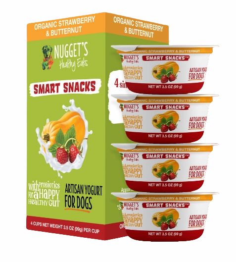 Nugget's Healthy Eats Dog Frozen Yogurt Strawberry 3.5oz Single stainless steel bowl,metal pet feeder,steel water dish