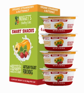 Nugget's Healthy Eats Dog Frozen Yogurt Strawberry 3.5oz Single stainless steel bowl,metal pet feeder,steel water dish