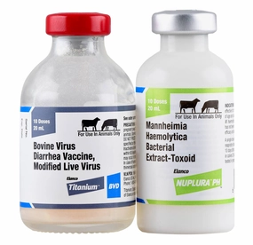 Nuplura PH BVD Cattle Vaccine gourmet cat wet food,chicken in broth cat,fish recipe cat food
