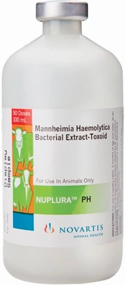 NUPLURA PH Cattle Vaccine gourmet cat wet food,chicken in broth cat,fish recipe cat food