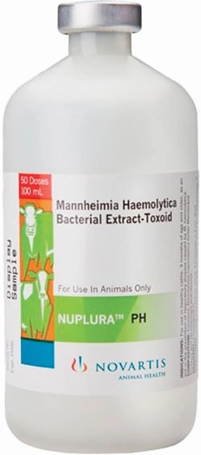 NUPLURA PH Cattle Vaccine gourmet cat wet food,chicken in broth cat,fish recipe cat food