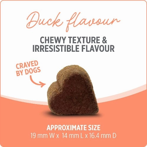 Nutrience Care  Probiotic  Dog Supplement