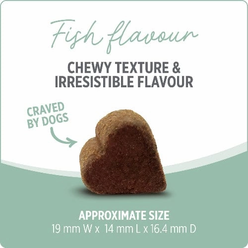 Nutrience Care  Skin & Coat Dog Supplement