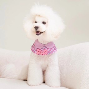 Ohpopdog Dog Cape (Amethyst) dog clothes,dog sweater,fashionable dog wear