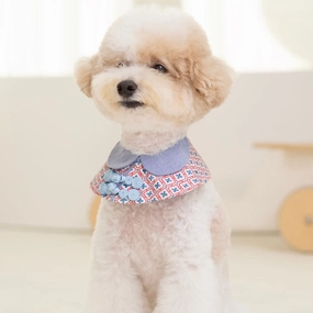 Ohpopdog Dog Cape (Aquamarine) dog clothes,dog sweater,fashionable dog wear